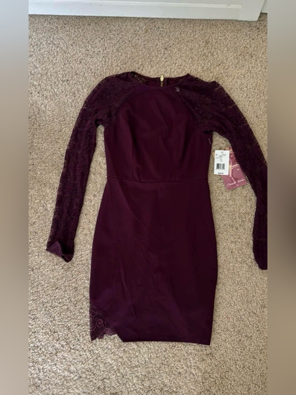 Emerald Sundae Long-Sleeve Lace Bodycon Dress in Plum
